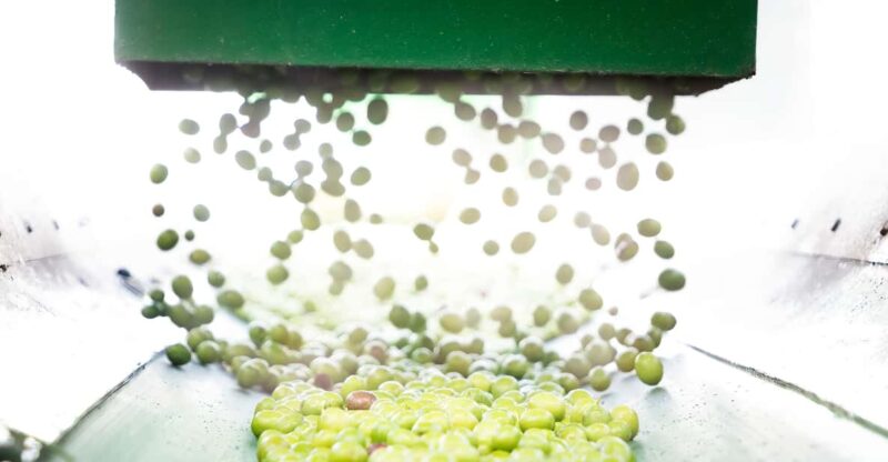 Oro Bailén: Tour of Oro Bailen Grove + Mill + Tasting - The Olive Oil Production Process