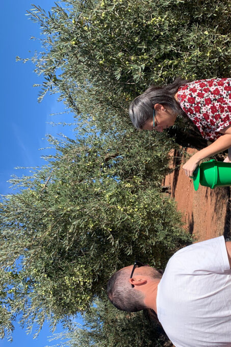 Oro Bailén: Tour of Oro Bailen Grove + Mill + Tasting - Facilities and Features of the Tour