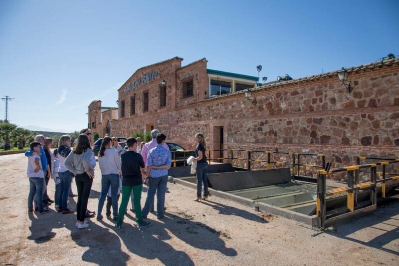 Oro Bailén: Tour of Oro Bailen Grove + Mill + Tasting - Customer Feedback and Recommendations