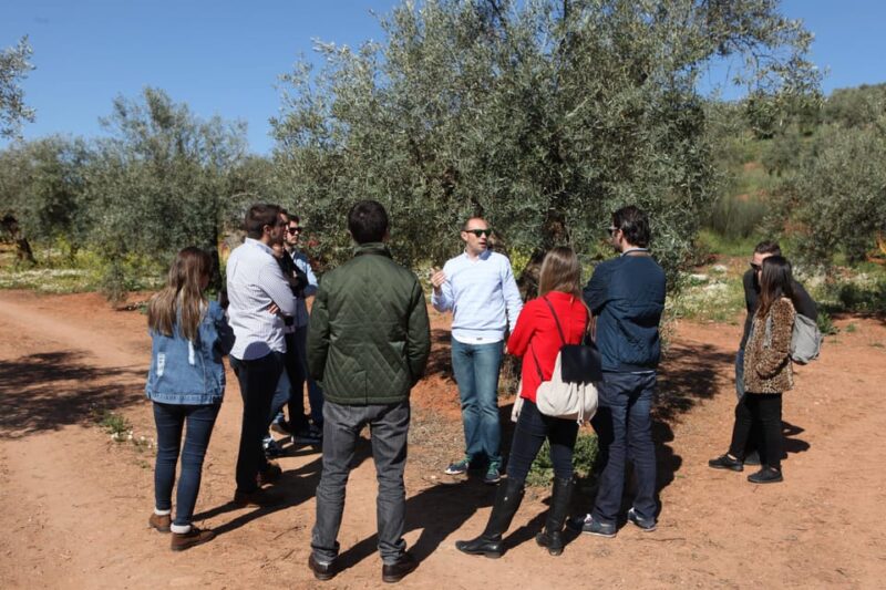 Oro Bailén: Tour of Oro Bailén Grove + Mill + Tasting - Meeting Point