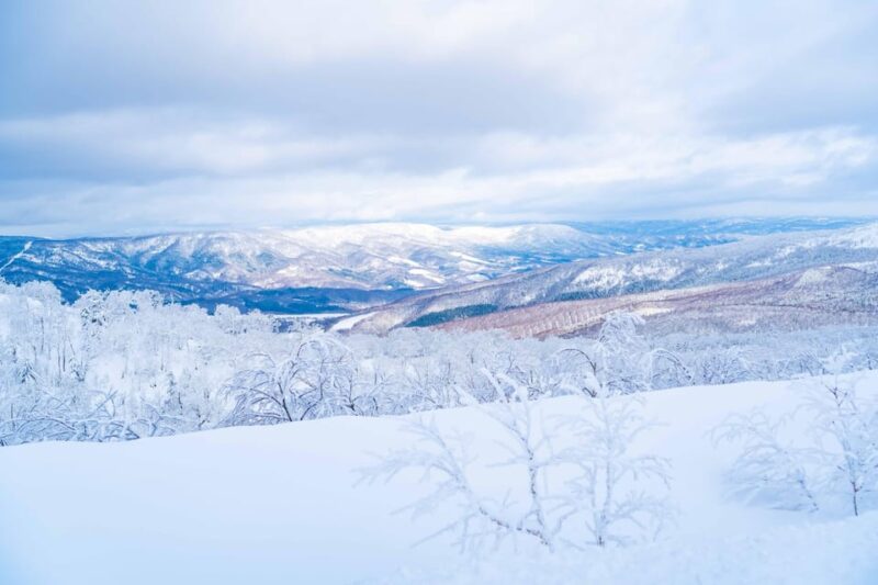 Orofure Pass Half-day Snowshoeing Tour - Key Points
