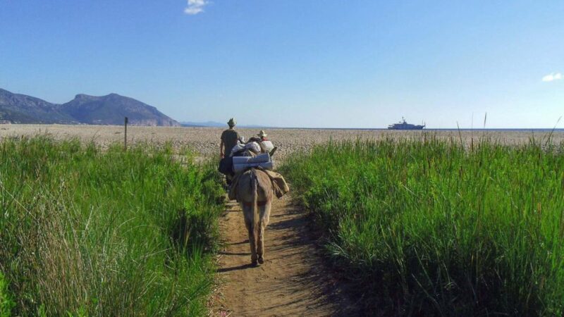 Orosei Gulf: 3 Days Trekking With Donkeys - Key Points