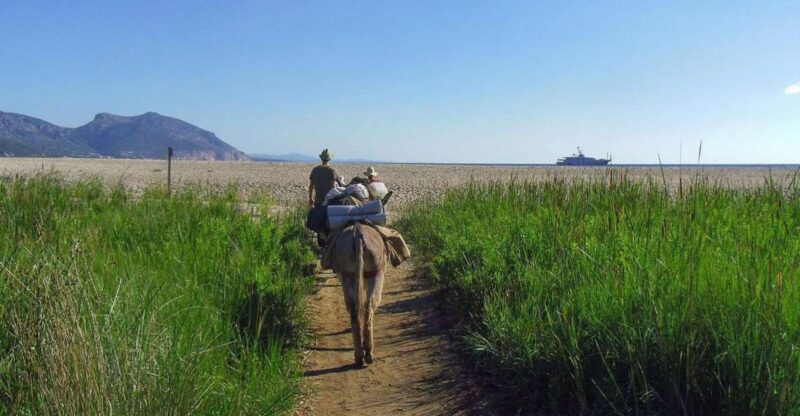 Orosei Gulf: 3 Days Trekking With Donkeys - Itinerary Highlights