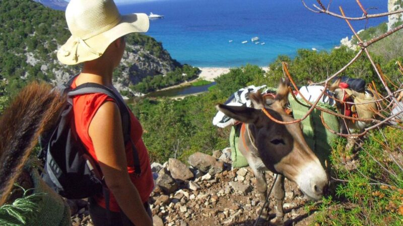 Orosei Gulf: 3 Days Trekking With Donkeys - Meals and Accommodations