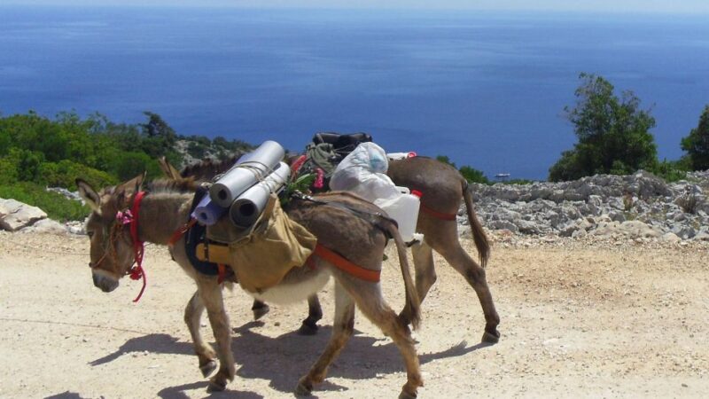 Orosei Gulf: 3 Days Trekking With Donkeys - Donkey Excursion and Guides