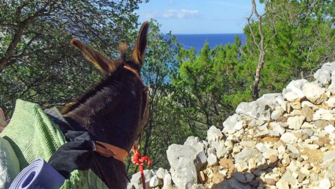 Orosei Gulf: 3 Days Trekking With Donkeys - Suitability and Accessibility