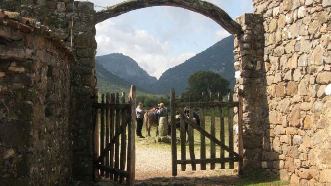 Orosei Gulf: 3 Days Trekking With Donkeys - Meeting Point and Parking