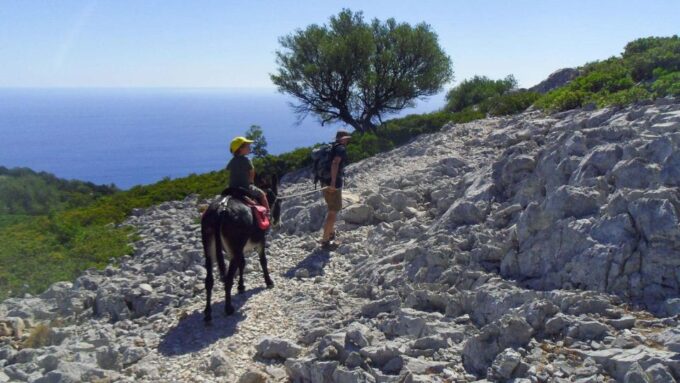 Orosei Gulf: 3 Days Trekking With Donkeys - Additional Highlights