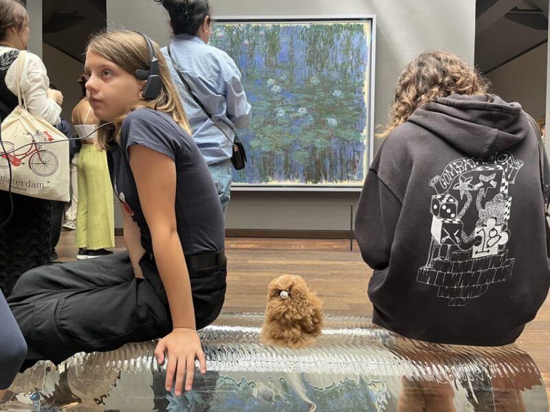 Orsay Museum: Museum Ticket Entry & 2h Private Guided Tour - Customer Experience and Reviews