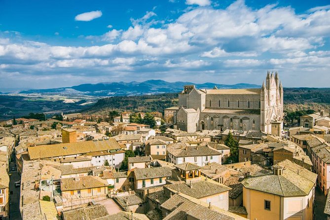 Orvieto: Half-Day Truffle Hunting Experience - Participant Reviews