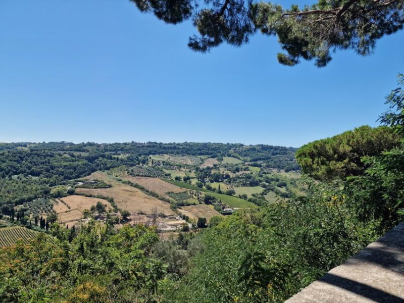 Orvieto the Etruscan City Private Tour From Rome - Surroundings and Unique Features