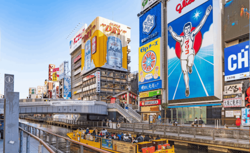 Osaka: 1-Day Private Customizable Tour With English Driver - Transportation and Services