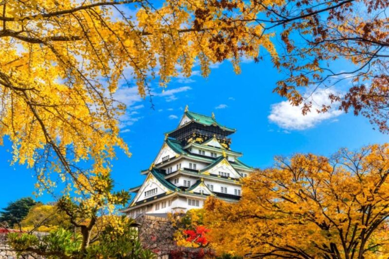 Osaka: 10-Hour Customizable Tour With Private Car - Customizable Itinerary