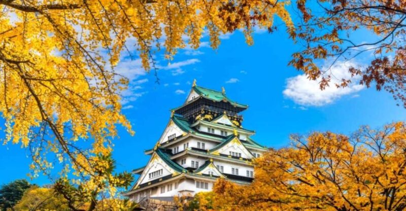 Osaka: 10-Hour Customizable Tour With Private Car - Booking Details