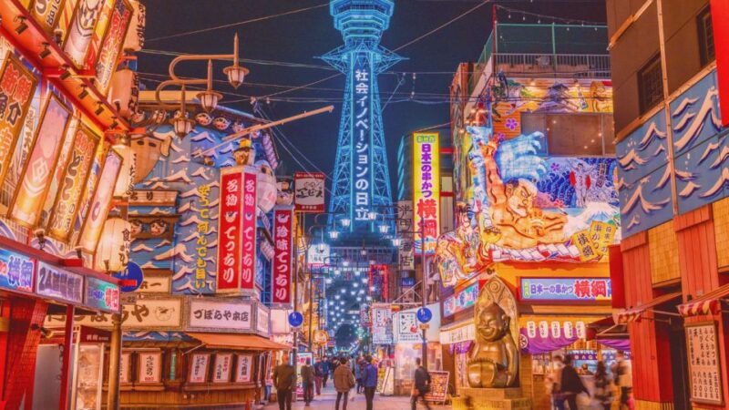 Osaka: 10-Hour Customizable Tour With Private Car - Customer Reviews