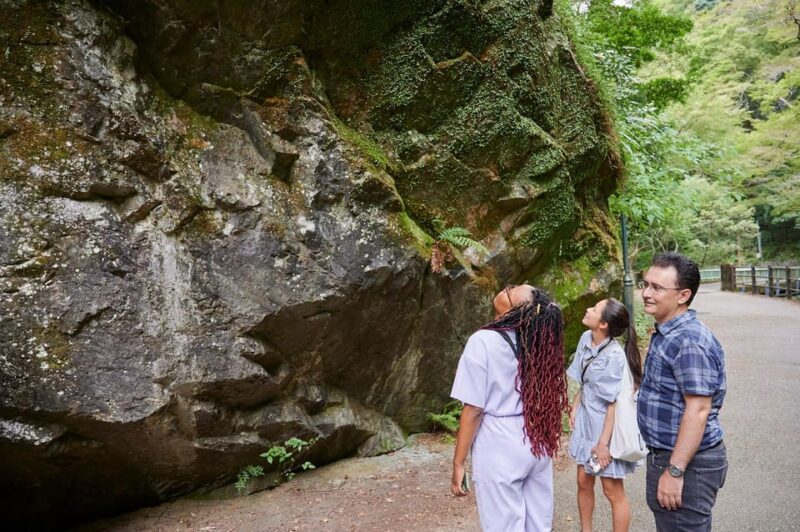 Osaka: 2.5-Hour Private Scenic Hike to Minoo Waterfall - Pricing and Booking
