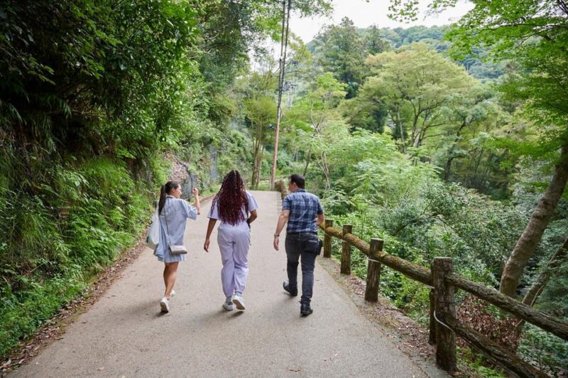 Osaka: 2.5-Hour Private Scenic Hike to Minoo Waterfall - Itinerary Highlights