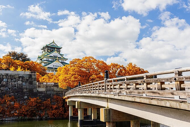 Osaka 6 Hr Private Tour: English Speaking Driver Only, No Guide - Accessibility
