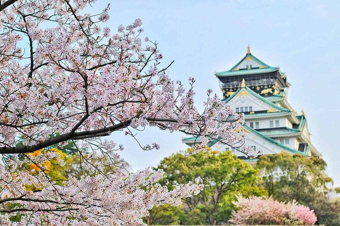 Osaka 6 Hr Private Tour: English Speaking Driver Only, No Guide - Private Transportation