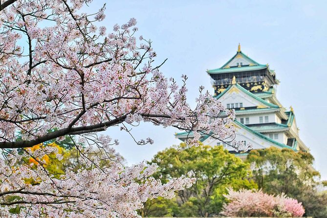 Osaka 6hr Instagram Highlights Private Tour With Licensed Guide - Accessibility and Participation