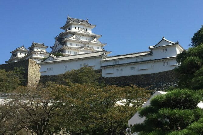 Osaka 6hr Instagram Highlights Private Tour with Licensed Guide - Is This Tour Right for You?