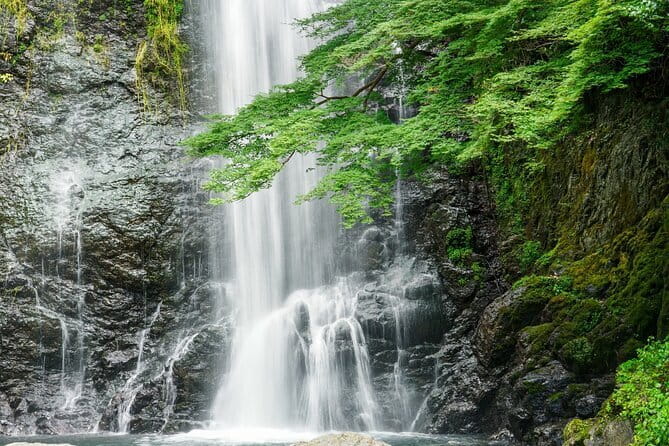 Osaka 8 Hours Tour Explore City and Minoh Falls - Pickup Information