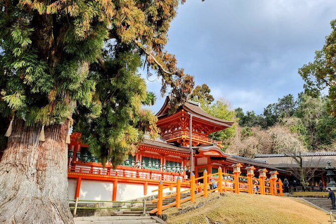 Osaka 8 Hours Tour Explore City and Minoh Falls - Additional Information