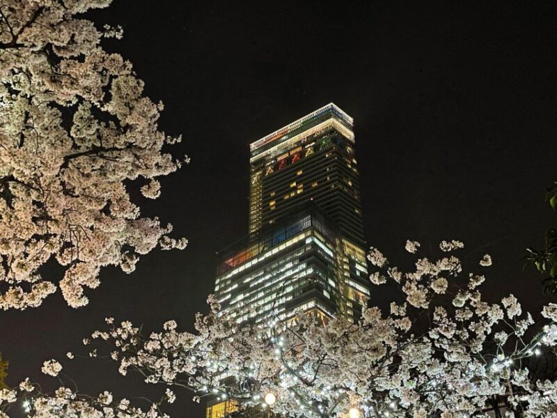 Osaka: Abeno Harukas 300 Observatory E-Ticket - Ticket Details and Policies