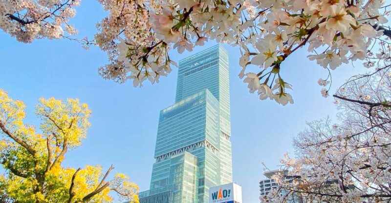 Osaka: Abeno Harukas 300 Observatory E-Ticket - Art Museum Experience