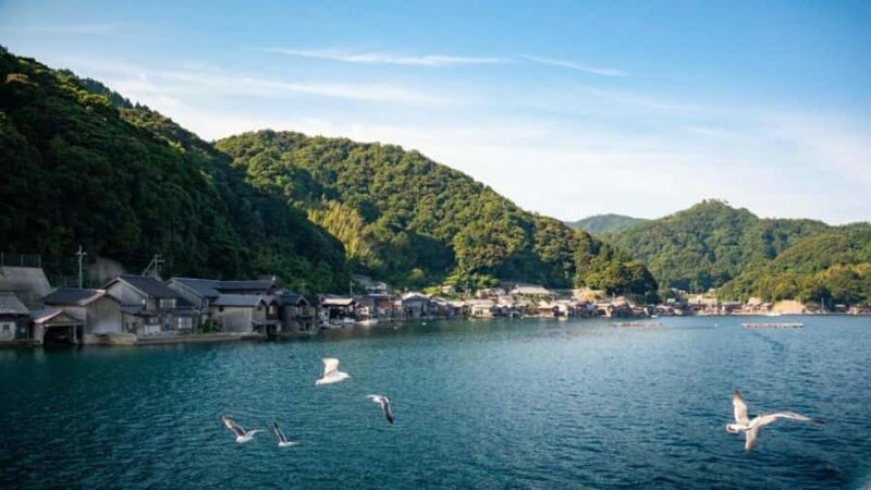 Osaka: Amanohashidate, Ine Bay, Miyama with lunch Day Trip - Lunch: Fresh Regional Seafood