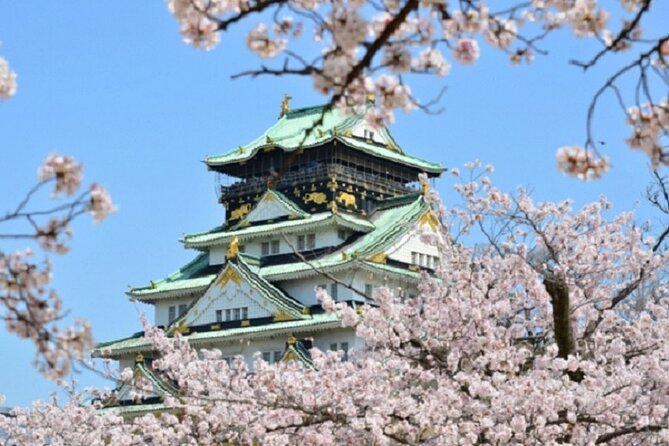 Osaka and Kyoto Stunning Cherry Blossoms and Sakura Cruise Tour - Meeting and Departure Information