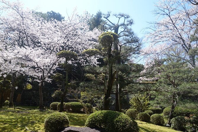 Osaka and Kyoto Stunning Cherry Blossoms and Sakura Cruise Tour - Participant Requirements and Restrictions