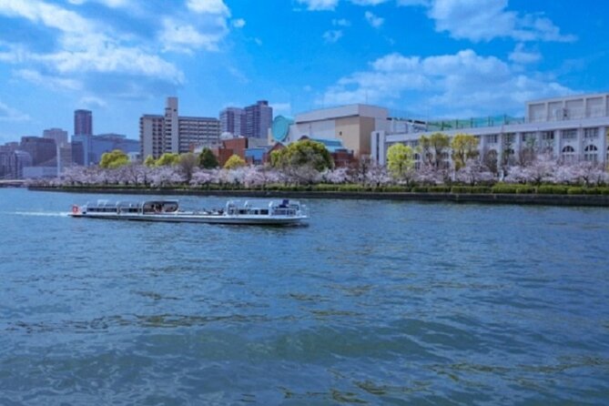 Osaka and Kyoto Stunning Cherry Blossoms and Sakura Cruise Tour - Tour Conditions and Policies