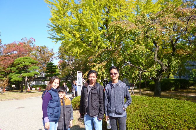 Osaka Castle and a Visit to the Longest Shopping Street in Japan - Guided Tour With Local Expert