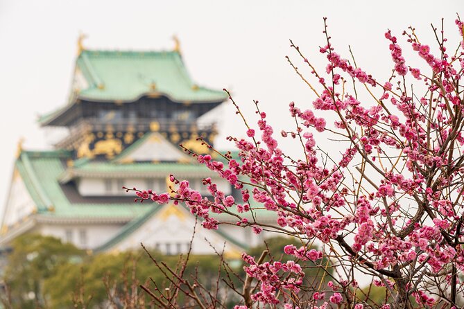 Osaka Castle & Back Alley Gourmet Private Tour - Highlights of the Tour