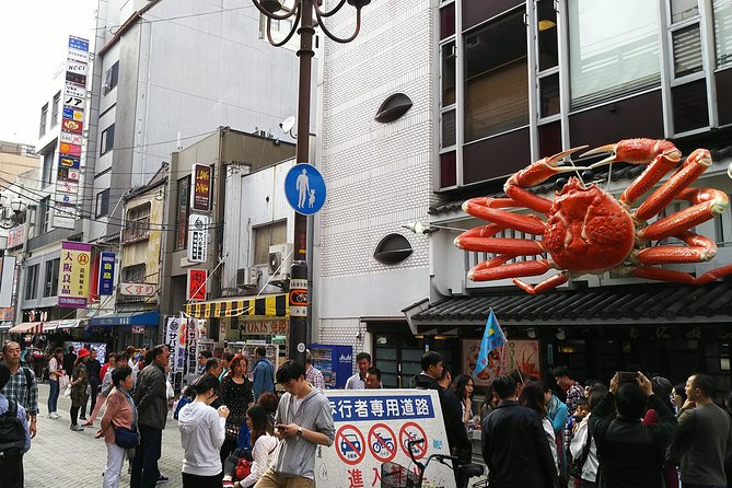 Osaka Castle & Dotonbori Lively One-Day Walking Tour - Guided Experience