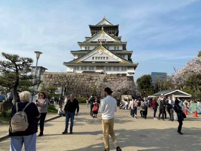Osaka Castle Guided Tour - Guide Expertise and Tour Options