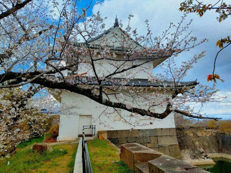Osaka Castle Hidden Gem Walk Tour + Multilingual Audio Guide - Price and Value Analysis