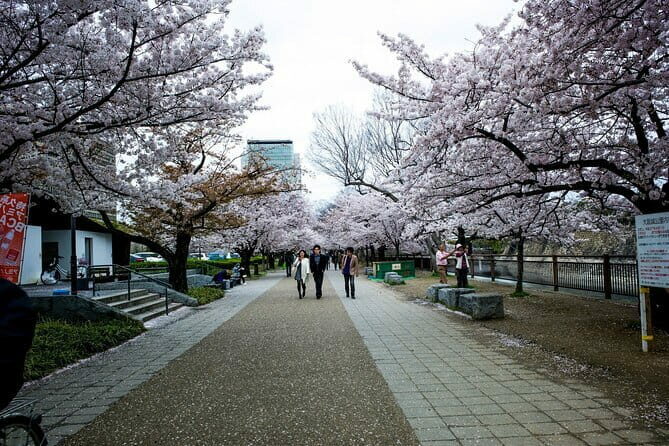 Osaka Castle & Samurai History Walking Tour - A Closer Look at the Experience