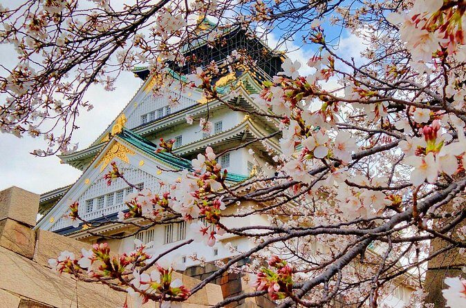 Osaka Castle & Temple Walking Tour with Multilingual Audio Guide - FAQ