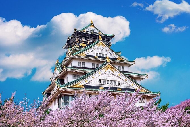 Osaka Cherry Blossom Tour With a Local: 100% Personalized Private - Accessibility and Participation