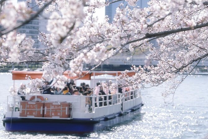 Osaka Cherry Blossom Tour With a Local: 100% Personalized Private - Personalized Walking Experience