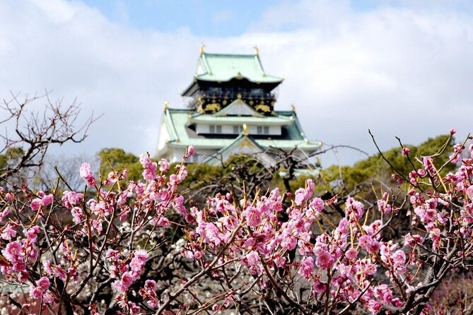 Osaka Cherry Blossom Tour With a Local: 100% Personalized Private - Celebrating Springtime Sakura