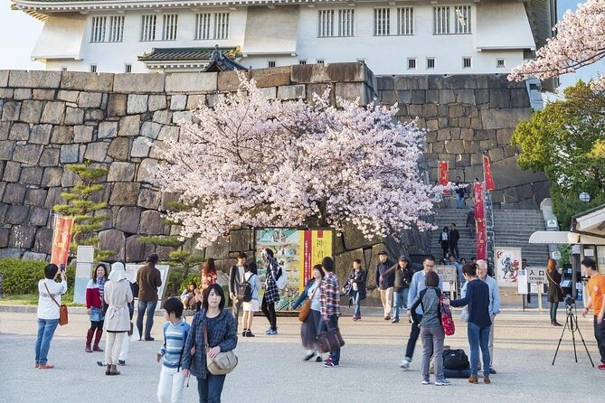 Osaka Cherry Blossom Tour With a Local: 100% Personalized Private - Meet-up and Transportation