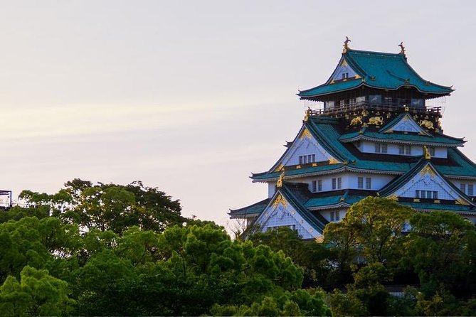 Osaka Custom Full Day Tour - Exclusions