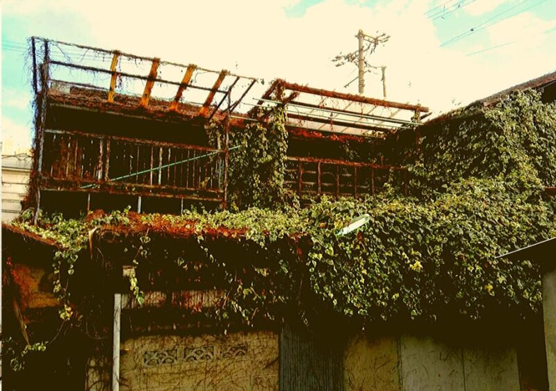 Osaka: Deep Backstreets Walking Tour With Dinner Option - Experience Highlights