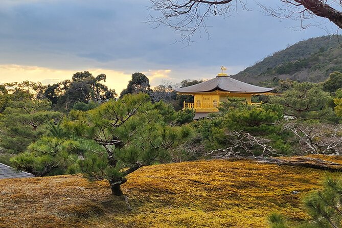 Osaka Dep, Arashiyama Ninnaji and Golden Pavilion Full Day Tour - Meeting and Pickup