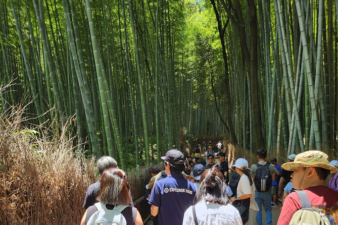 Osaka Dep, Arashiyama Ninnaji and Golden Pavilion Full Day Tour - Weather and Group Size