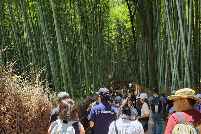 Osaka Departure Kyoto Top 3 Full Day Tour - Maximum Travelers