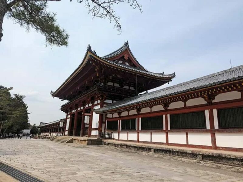 Osaka: Discovering Nara Timeless Grace Guided Tour - An Honest Look at the Nara Day Trip